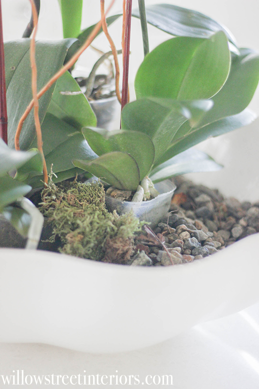 how to make an orchid planter