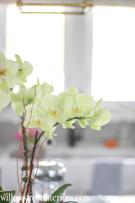 make an orchid planter