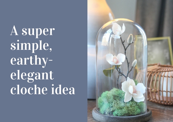 A Pretty Glass Cloche Idea